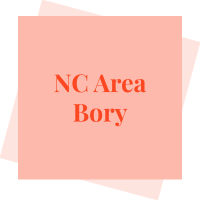 NC Area Bory logo