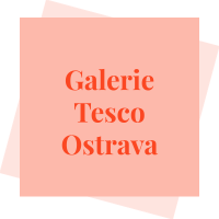 Galerie Tesco logo
